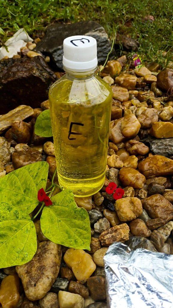 eucalyptus essential oil